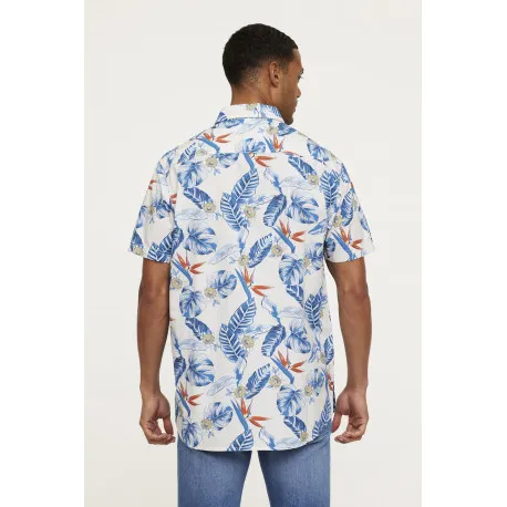 Chemise DARIZO Blue Grey
