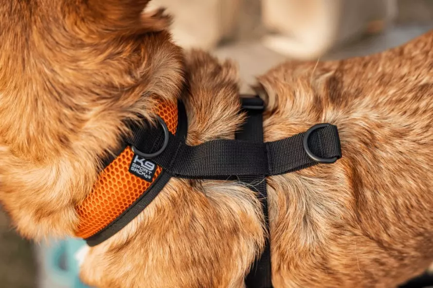 Harnais K9 Sport Sack - Jaune