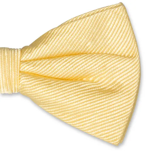 Noeuds papillon / Nœud papillon homme jaune pastel