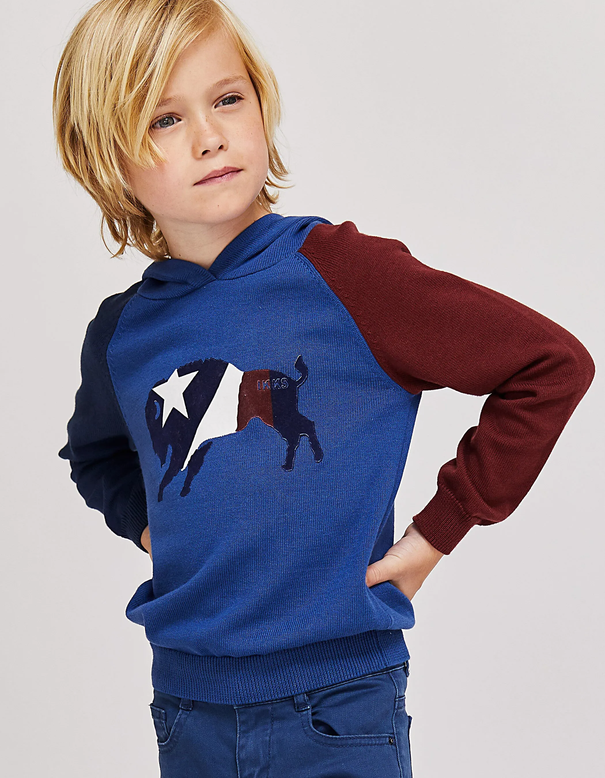 Pull bleu flocage bison garçon